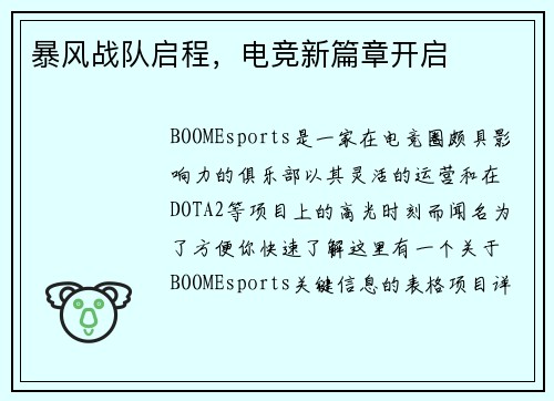 暴风战队启程，电竞新篇章开启